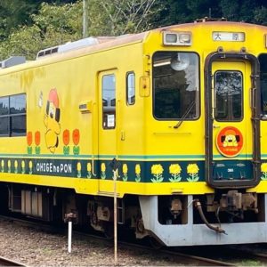 いすみ鉄道✖️おひげのポン　コラボ電車